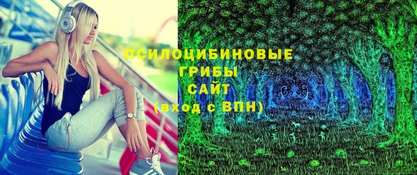 прущие крисы Дмитровск