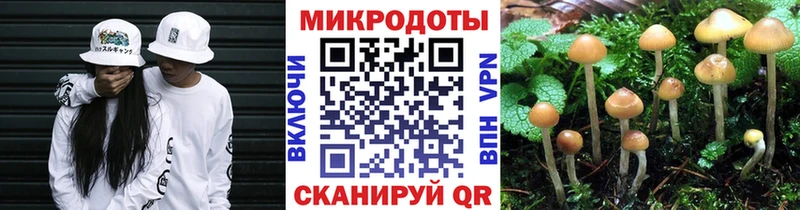 Купить закладки  Заречный  Галлюциногенные грибы прущие грибы 