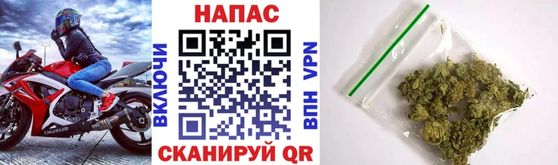 Купить закладки  Заречный  Марихуана SATIVA & INDICA 